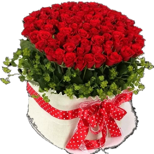 букет красных роз, цветы день рождения, букеты день рождения, букет роз поздравляю, поздравительные открытки