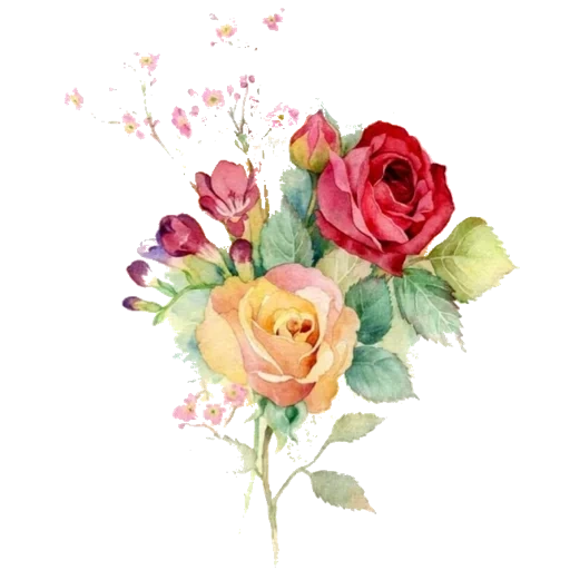 акварельные розы, акварельные цветы, букет роз акварелью, розы акварель ватерколор, акварельные розы тонкие вектор