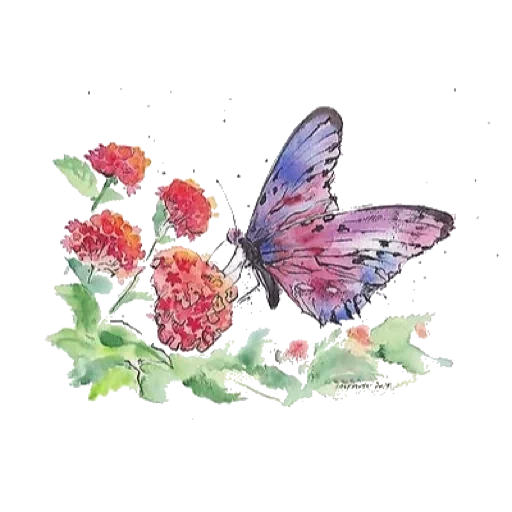 цветок бабочка, акварель бабочка, цветы акварельные, акварельные иллюстрации, акварель бабочка клевере