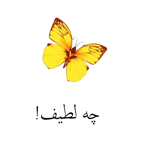 бабочка, желтая бабочка, бабочки белом фоне, желтая бабочка белом фоне, маргарита жёлтая бабочка белом фоне