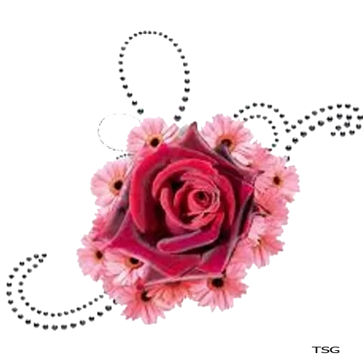 le rose sono rosa, il fiore è rosa, clipart rosa, fiori artificiali, clipart rosa rose