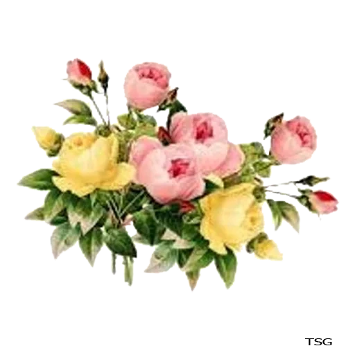 flowers flowers, flower bouquet, flowering flowers, artificial flowers, flowers with a transparent background