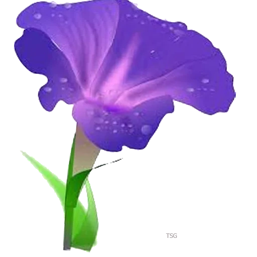 bunga ungu, hipotek itu ungu, bunga violet, bunga ungu biru, bunga vektor violet
