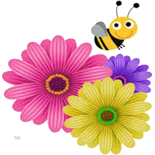 bunga-bunga, clipart chamomile, bunga anak anak, bunga clipart, bunga dengan latar belakang transparan