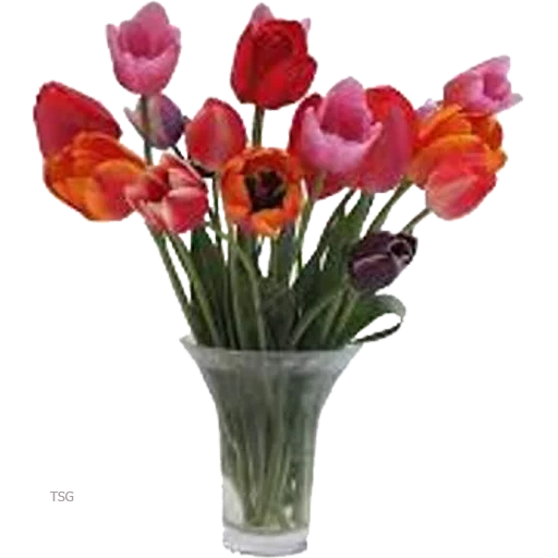 vase tulp, tulpen vase, vasen von tulpen, tulpsstrauß, tulpen sind künstlich