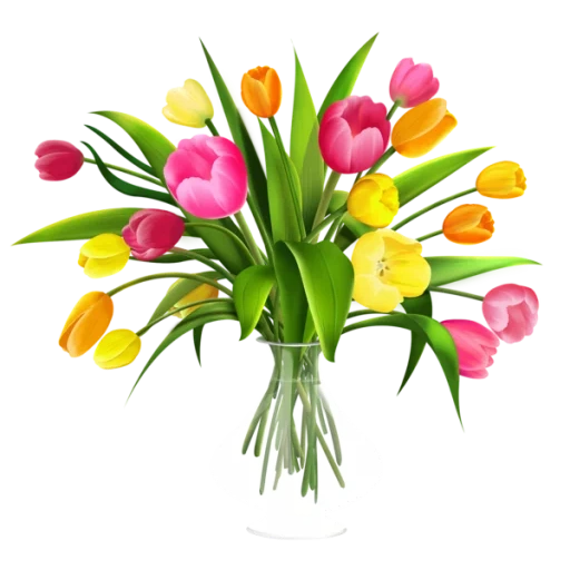 tulipes, bouquets de tulipes, bouquet de tulipes, bouquet de fleurs tulipes, bouquet de tulipes avec un fond transparent