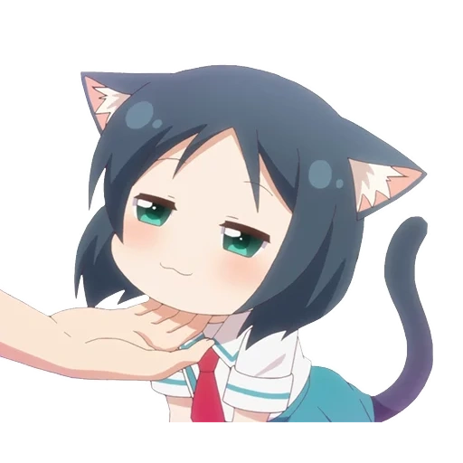 hari penyakit dalam, anime nico, anime cat day, neco anime cat day