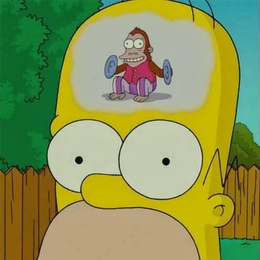 homer, homer simpson, monkey to homer head, homer affenkopf, simpson affenkopf