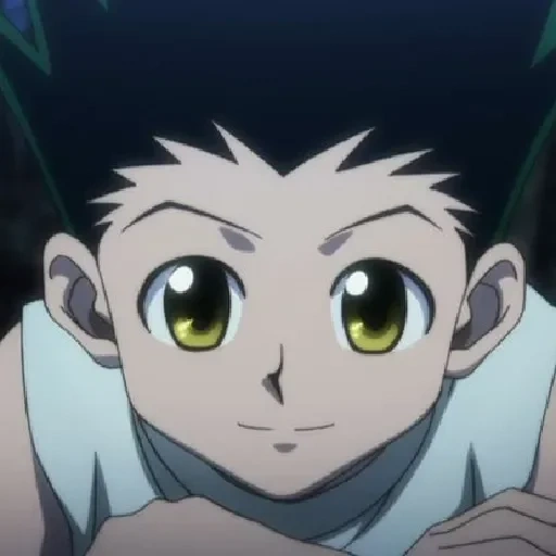 anime, hunter ghosn, hunter x hunter, hunter hunter 2011, chasseur x chasseur 3