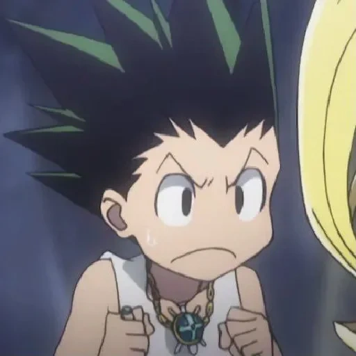 gon fricks, elinor holt, hunter x hunter, hunter x hunter 3, hunterh hunter goon mem