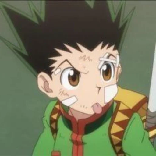 гон фрикс, hunter x hunter, охотник х охотник 3, hunter x hunter гон, hunter x hunter персонажи