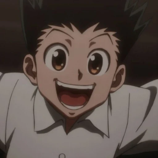 hunter x hunter, gon hunter x hunter, охотник х охотник 3, hunter x hunter leorio, hunter x hunter обезьяна