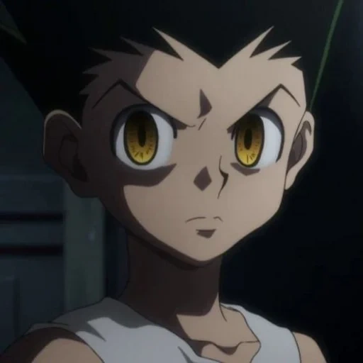 gon fricks, hunter gon, hunter x hunter, hunter x hunter gon, hunter x hunter 3