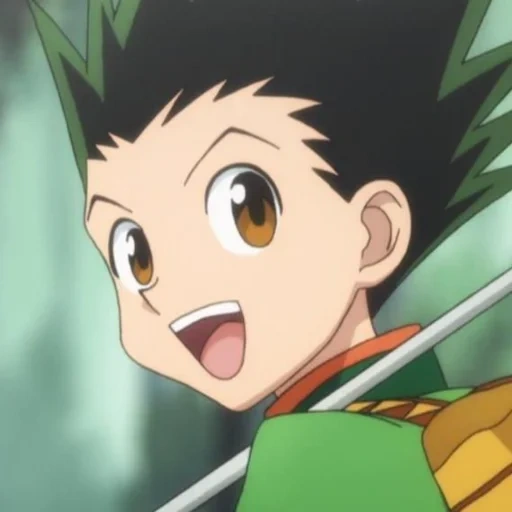 gon fricks, chasseur de chasseurs, hunter x hunter, hunter x hunter gon, hunter x hunter 3