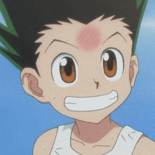 gon, аниме, гон фрикс, элинор холт, hunter x hunter