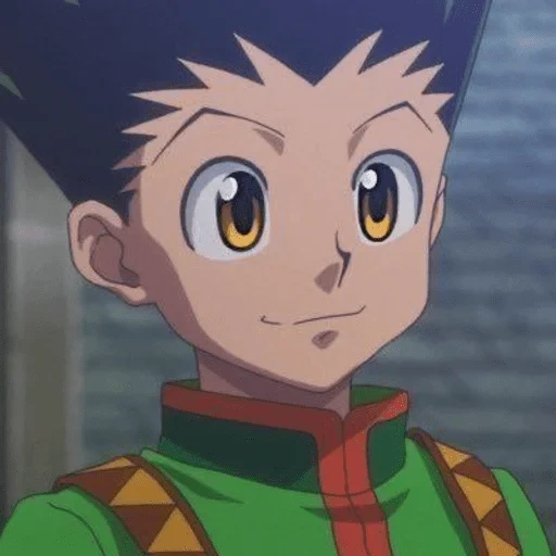 gon fricks, chasseur de chasseurs, hunter x hunter, hunter x hunter, hunter x hunter 3