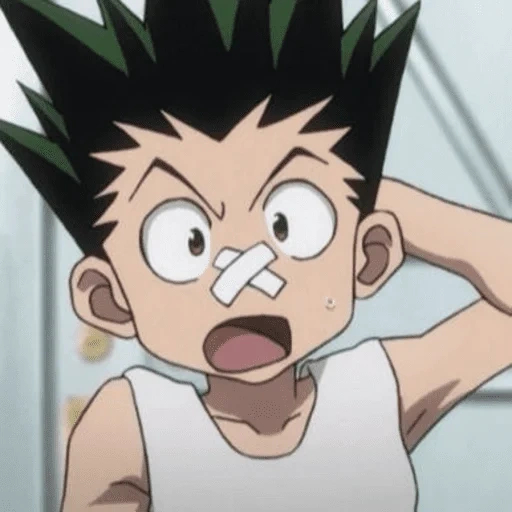 kilowa hunter, hunter x hunter, gon hunter x hunter, killua hunter x hunter, karakter hunter x hunter