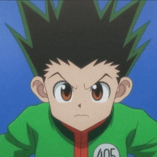 gon modification, gon fricks, elinor holt, hunter x hunter, hunter x hunter killua