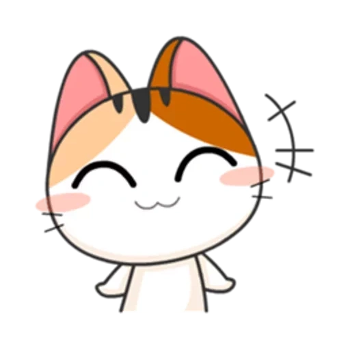 cat, anjing laut yang lucu, meow animated, anjing laut jepang, anak kucing jepang