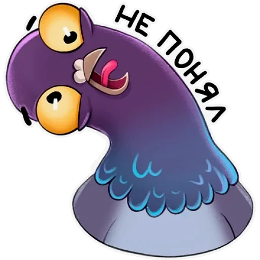 die taube, purple pigeon