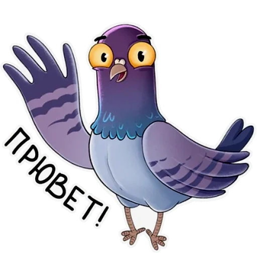 pombo, pombo natey, pombo michael, violet pigeon