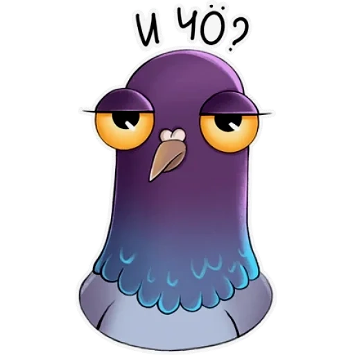 pigeon, dove, cartoon pigeon, violet pigeon