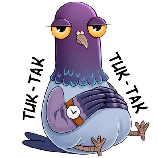 pombo, o pombo é engraçado, violet pigeon
