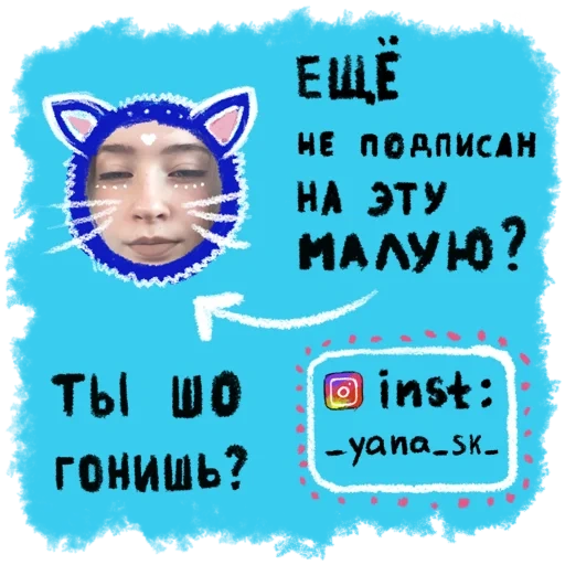 cat, seal, funny, cat meme, korean meme of cat