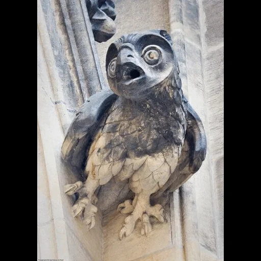 скульптура совы, каменные скульптуры, сова горгулья живая, сова архитектурная горгулья, собор парижской богоматери гаргульи