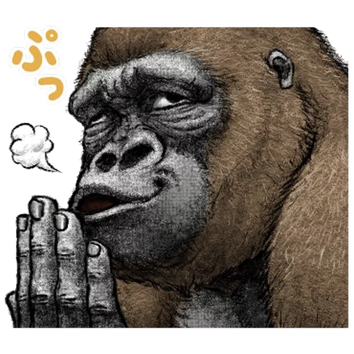 горилла, gorillaz, стинки горилла, горилла рисунок, обезьяна горилла