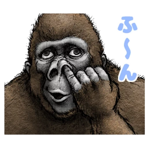 gorilla, steenka gorilla, gorilla drawing, goril profile, gorilla monkey