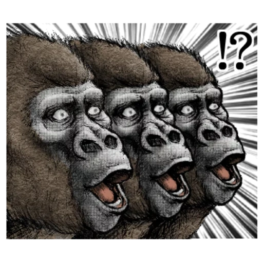 gorille, gorille, le museau du gorille, steenka gorilla, dessin de gorille