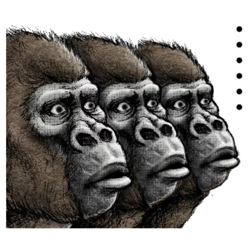 plaisanter, steenka gorilla, dessin de gorille, profil goril, singe gorille