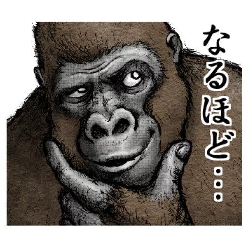 gorilla, steenka gorilla, gorilla zeichnung, western gorilla, gorilla affe