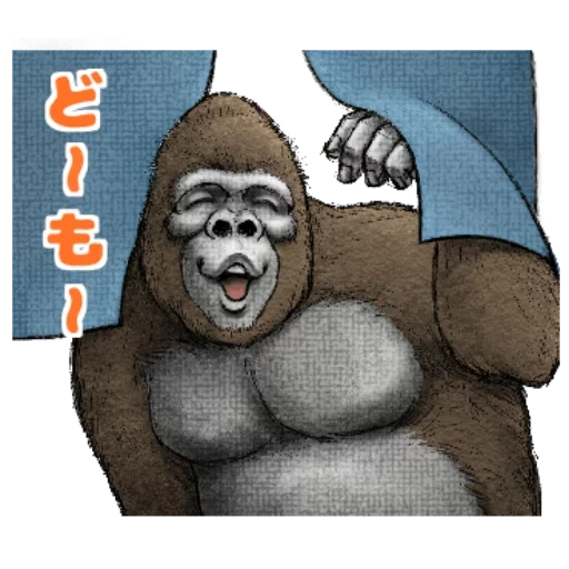 gorilla, gorilla smile, steenka gorilla, funny gorilla, gorilla monkey