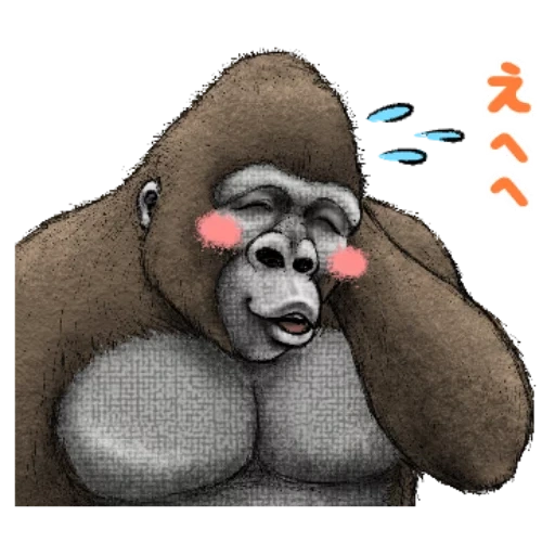 горилла, горилла лицо, горилла самец, горилла рисунок, горилла обезьяна