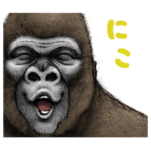 gorila, cara de goril, el gorila estaba sonriendo, gorila de steenka, dibujo de gorila