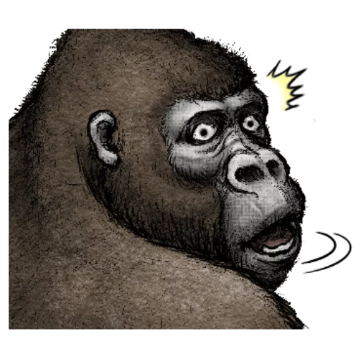 стинки горилла, смешная горилла, горилла рисунок, горилла профиль, горилла обезьяна