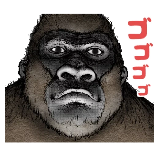 gorilla, goril face, the gorilla was grinning, steenka gorilla, gorilla king cong