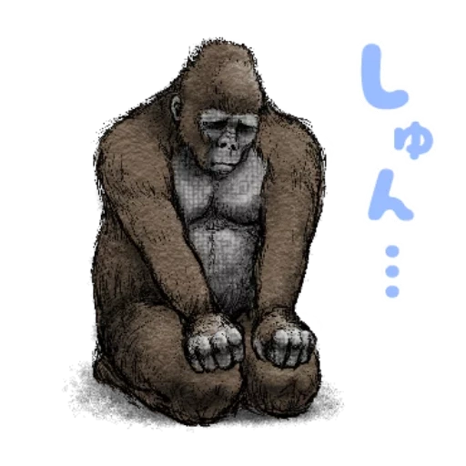 gorilla, gorilla zeichnung, goril profil, gorilla king cong, gorilla mit einem weißen hintergrund