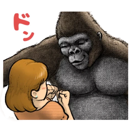 child, gorilla, gorilla male, goril profile, monkey gorilla