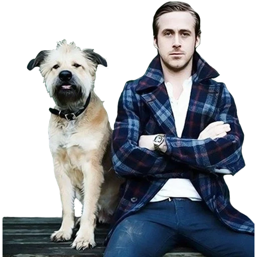 gosling, райан гослинг, гослинг собакой, райан гослинг собакой, райан гослинг гарри поттер