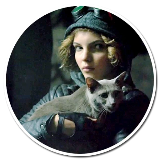 gato, ciudad de gotham, de la serie de televisión, serie de televisión gotham