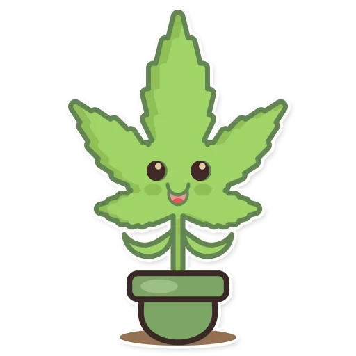 ma, cannabis, feuilles de chanvre, expression de marijuana, cannabis