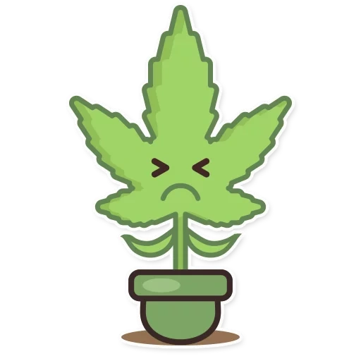 cannabis, feuilles de chanvre, cannabis, motifs de chanvre, cartoon chanvre