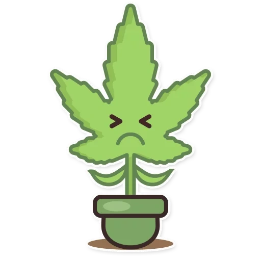 marihuana, marihuana blatt, konopra von marihuana, marihuana zeichnung, cartoon hanf