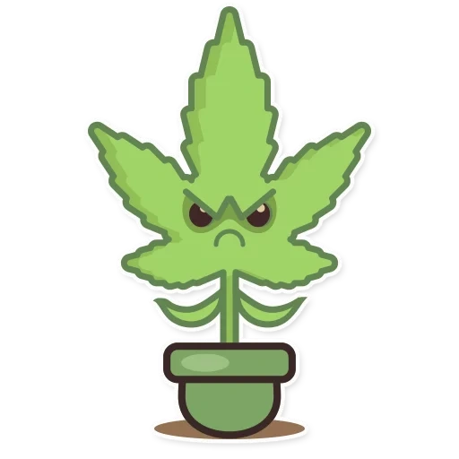 planta, hojas de cáñamo, hoja de marihuana, parche de marihuana, konoply con ojos