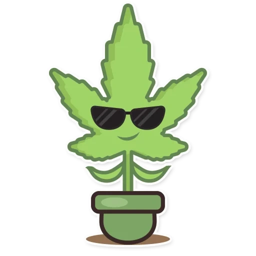 folha de maconha, konopra de maconha, planta em casa, maconha do desenho animado, desenho animado de chapas de kanabisa