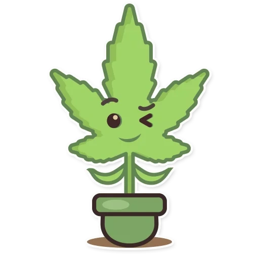 cannabis, feuilles de chanvre, patch de cannabis, cannabis, motifs de chanvre
