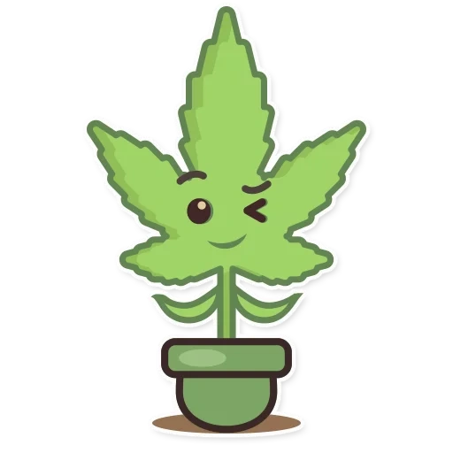 marijuana, foglio di marijuana, patch di marijuana, konopra di marijuana, disegno di marijuana